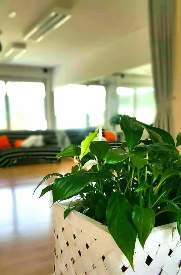 Tej Hostel Ljubljana